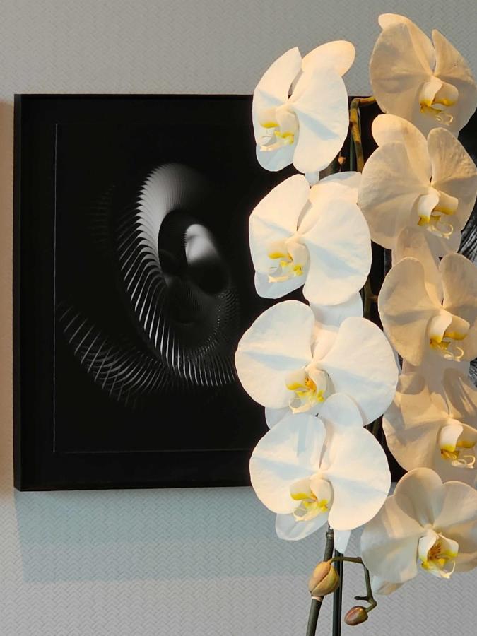 Kamo Residences By Reflections Kyoto Ngoại thất bức ảnh