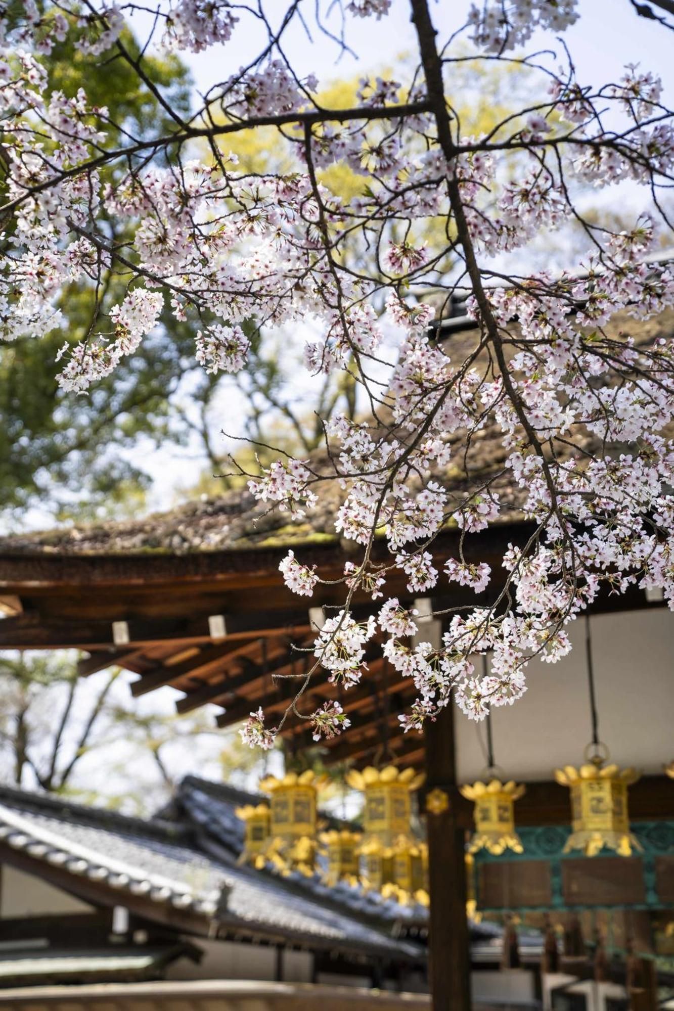 Kamo Residences By Reflections Kyoto Ngoại thất bức ảnh